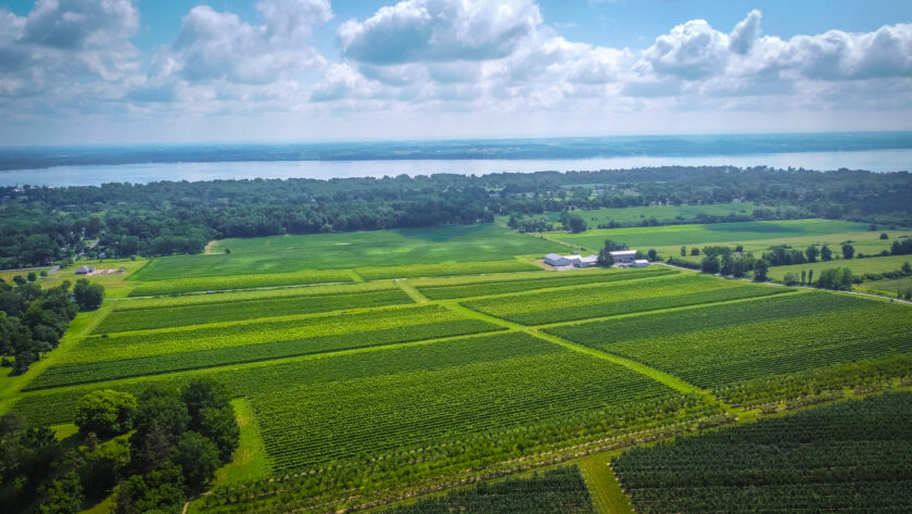 A Quarter Century of Precision: Ravines Celebrates 25 Years of Finger Lakes Winemaking