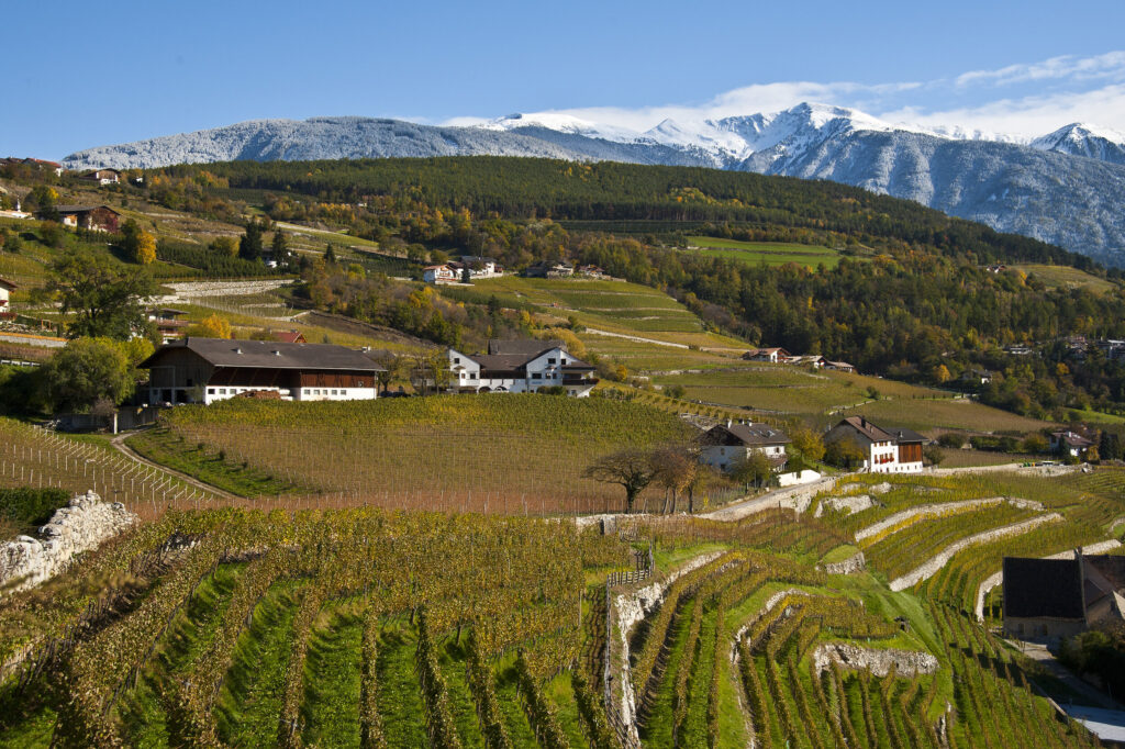 Where the Alps Meet the Vines: Discovering Alto Adige 16