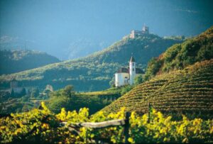 Where the Alps Meet the Vines: Discovering Alto Adige 17