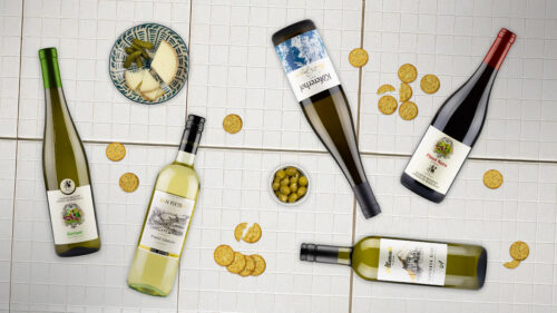 Where Vines meet the Alps: Discovering Alto Adige