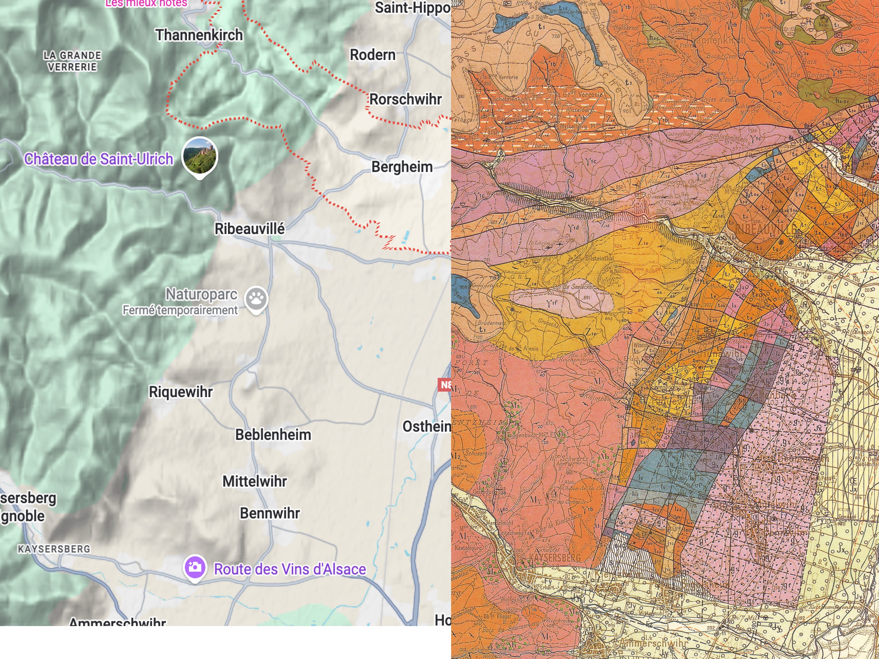 The Next Gen of French Viticulture 26