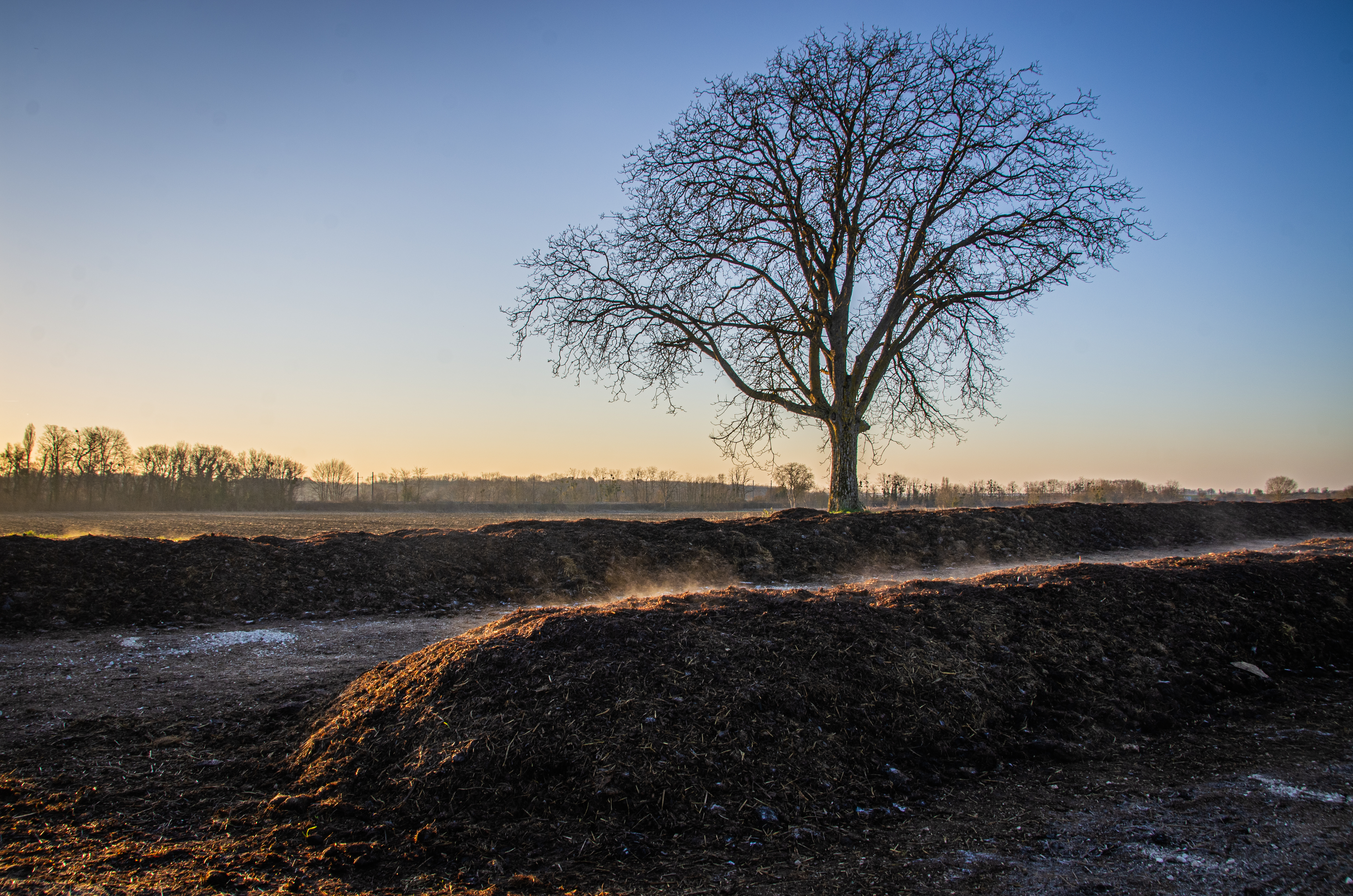 The Next Gen of French Viticulture 38