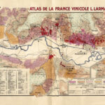 The Next Gen of French Viticulture 7