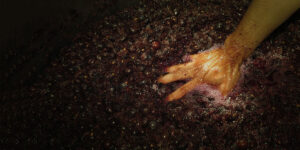 A Brief History of Japanese Grape Growing and Wine 1