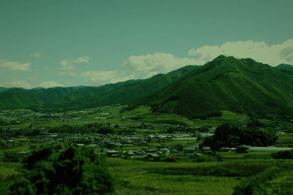 A Brief History of Japanese Winemaking and Viticulture