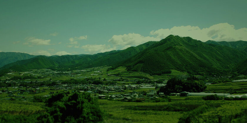 A Brief History of Japanese Winemaking and Viticulture