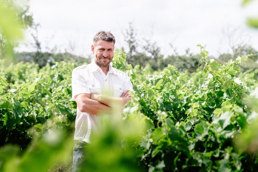 Domaine Ricardelle de Lautrec