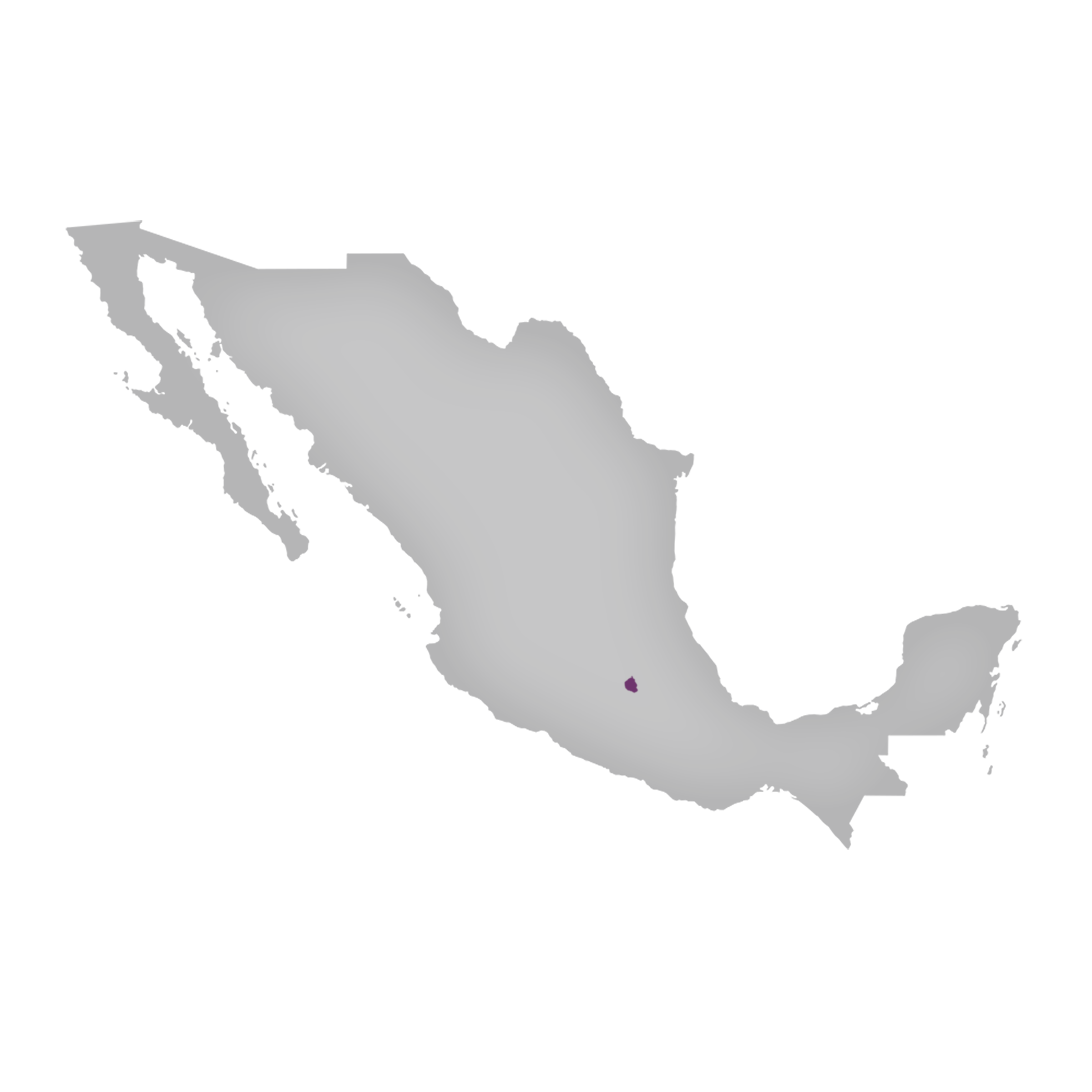Region: Mexico City