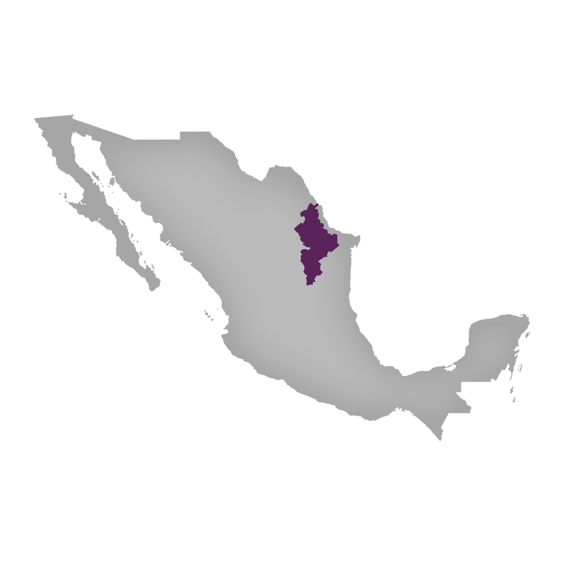 Region: Nuevo Leon