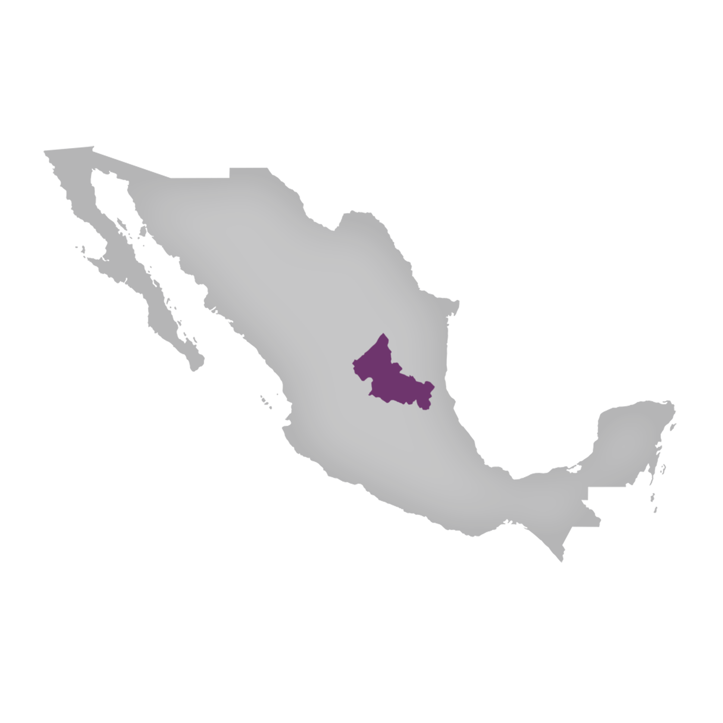 Region: San Luis Potosi