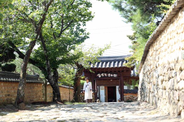 Beyond Jinro: How Korean Craft Spirits Are Reshaping the American Drinks Scene 6