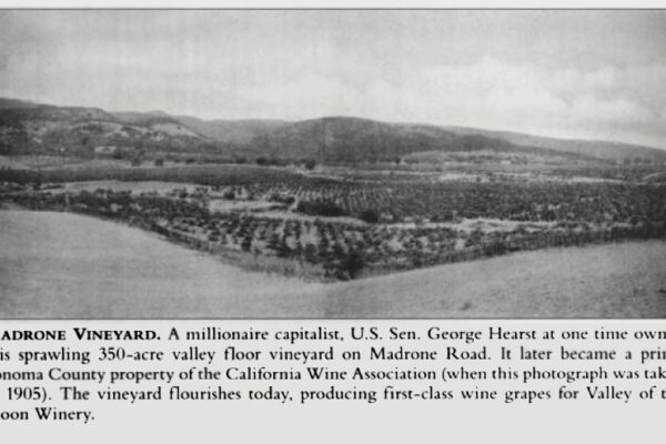 Exploring Heritage Vineyards from Our American Producers 3