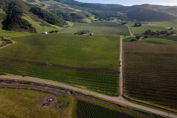 Heritage Vineyards 15