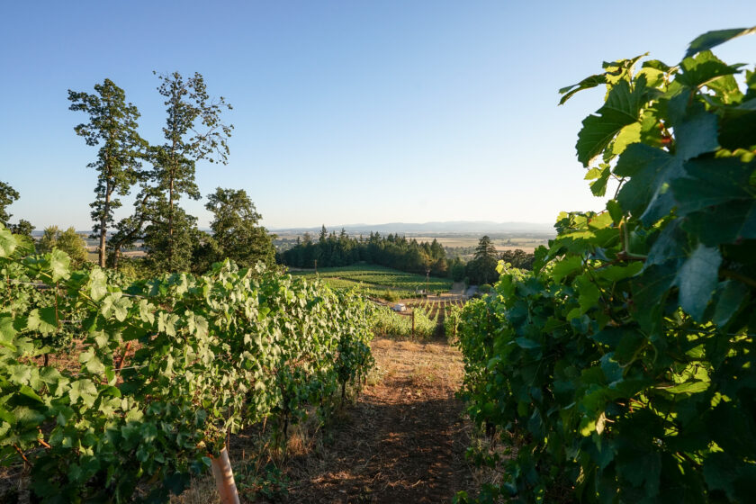 Amity Vineyards